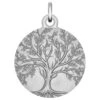Médaille Arbre De Vie - Argent Massif 2 Médaille Arbre De Vie - Argent Massif -Maison de la Médaille Soldes MDM arbredevie feuille product 2