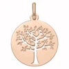 Médaille Arbre De Vie Printanier Ajouré - Or Rose 18ct 2 Médaille Arbre De Vie Printanier Ajouré - Or Rose 18ct -Maison de la Médaille Soldes medaille arbre vie printanier ajouree product xl product xl product