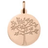 Médaille Arbre De Vie Printanier - Or Rose 18ct 1 Médaille Arbre De Vie Printanier - Or Rose 18ct -Maison de la Médaille Soldes medaille bapteme arbre de vie or rose 248400211 product xl product xl product