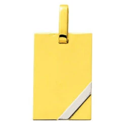 Pendentif Plaque Barrette - Or Jaune Et Or Blanc 18ct