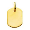 Pendentif Plaque Tonneau - Or Jaune 18ct 2 Pendentif Plaque Tonneau - Or Jaune 18ct -Maison de la Médaille Soldes plaques or jaune T3 product xl product
